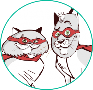 Adopter un chat