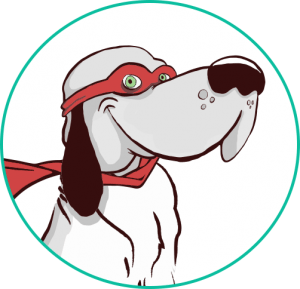 Adopter un chien