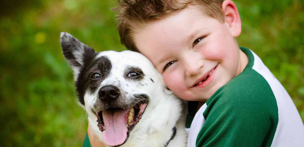 Adoption chien