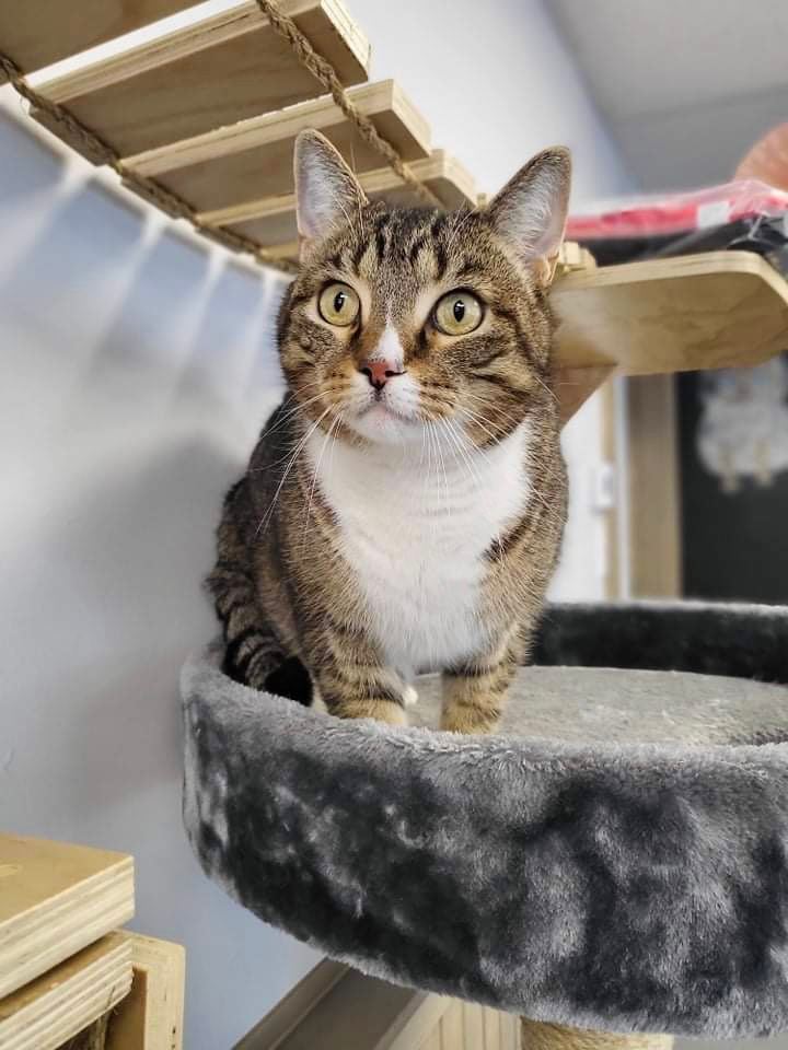 Spa Regionale Spa Regionale