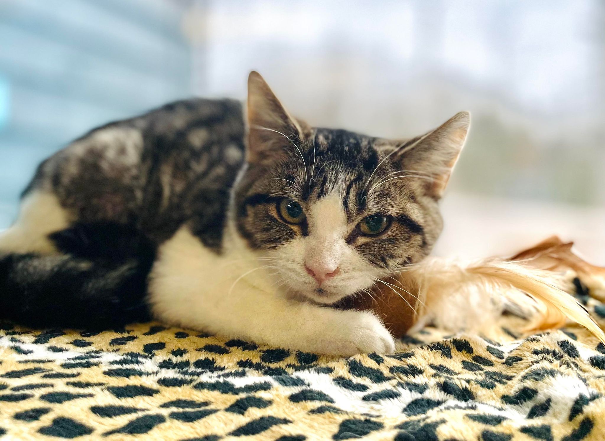 Spa Regionale Spa Regionale