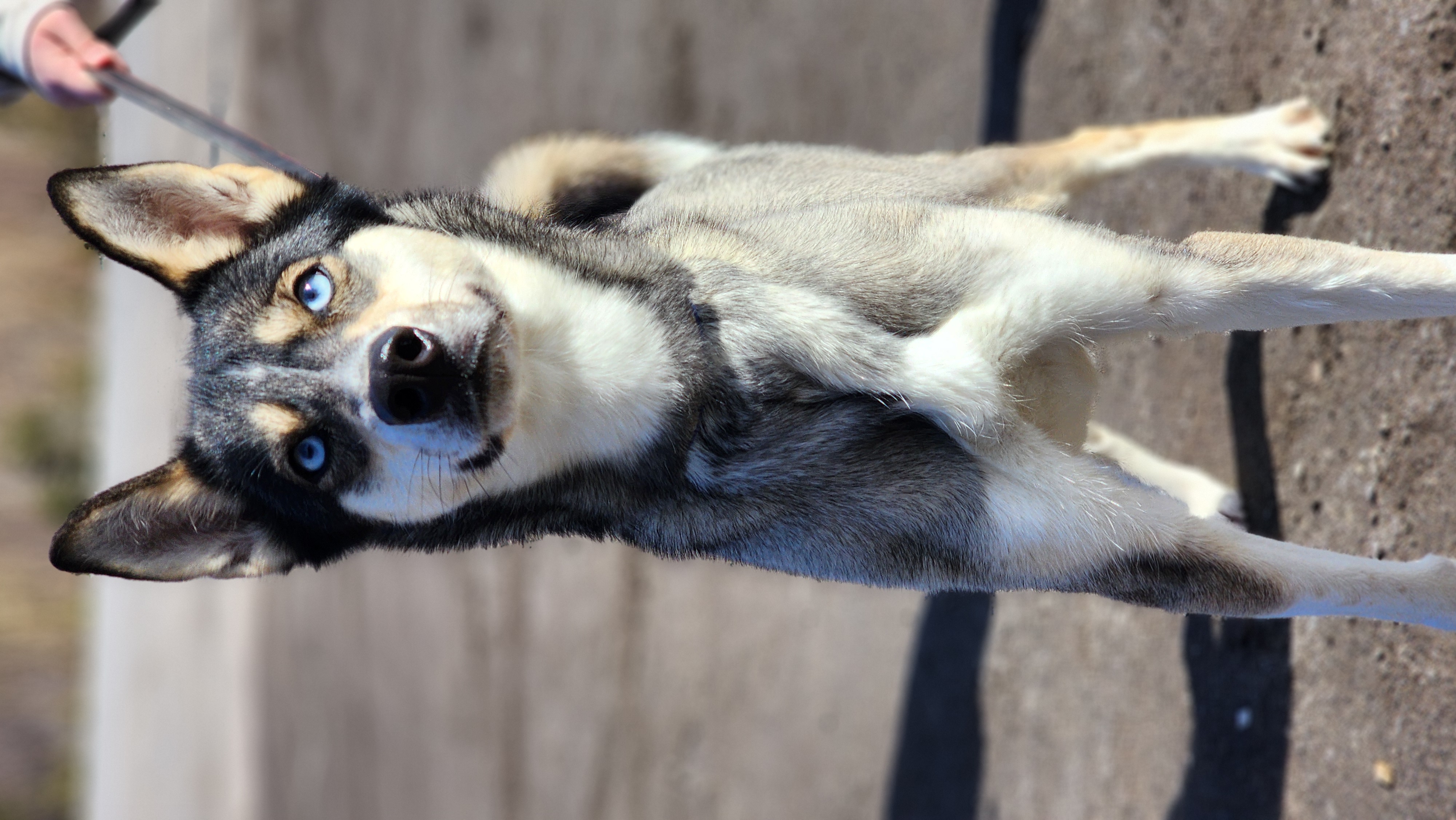 Kyna
