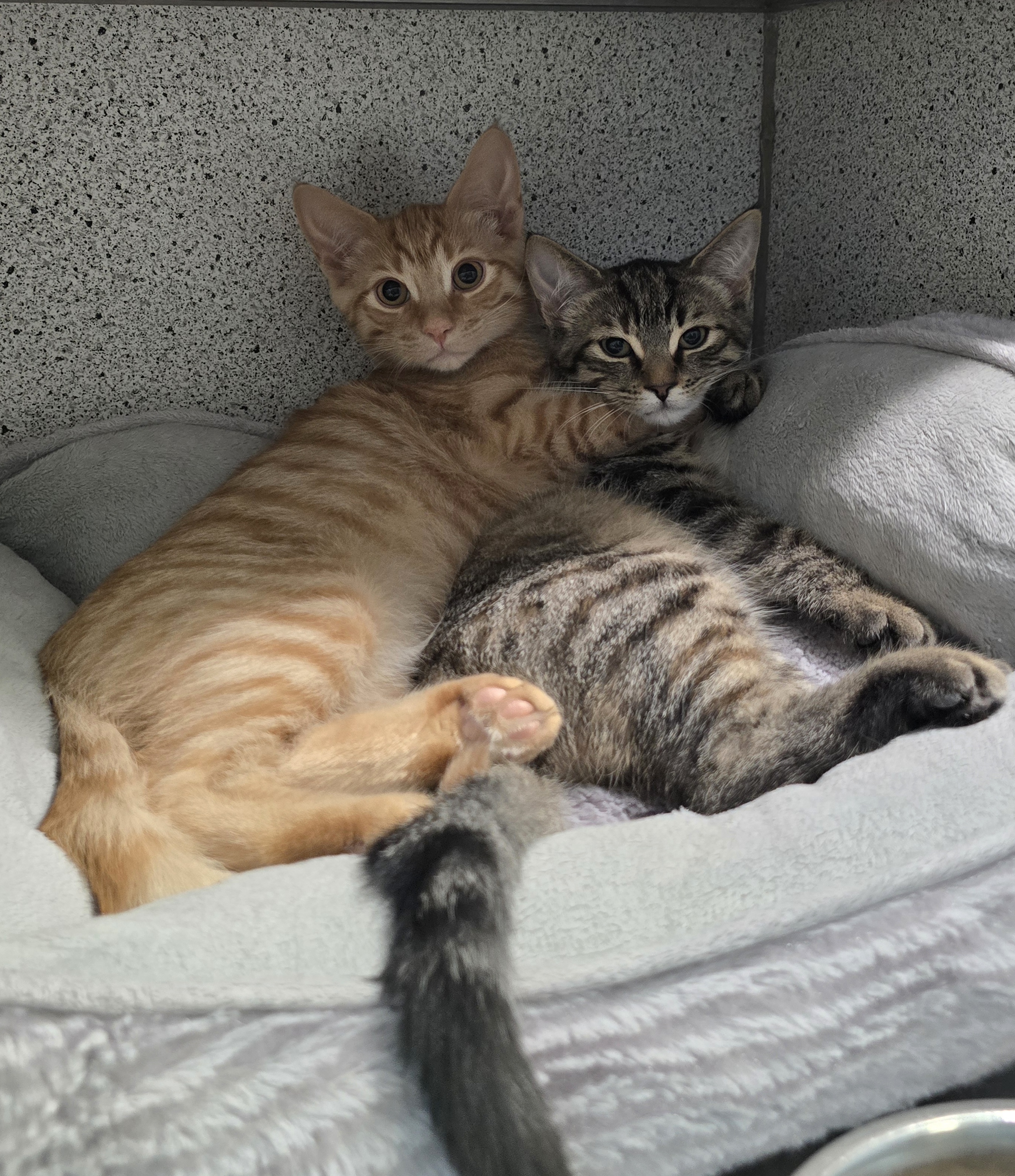 Rouki&Gina