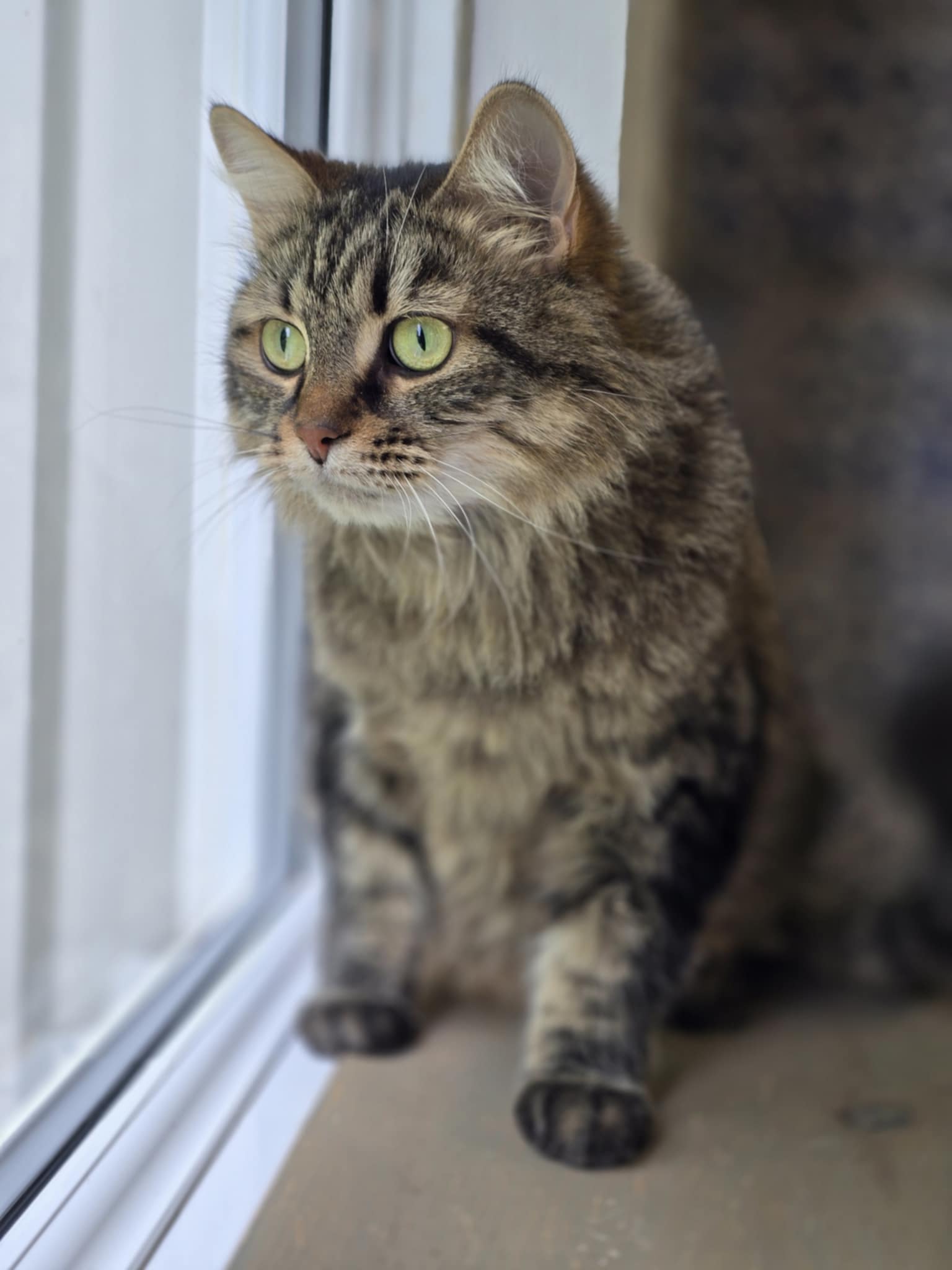 Bella