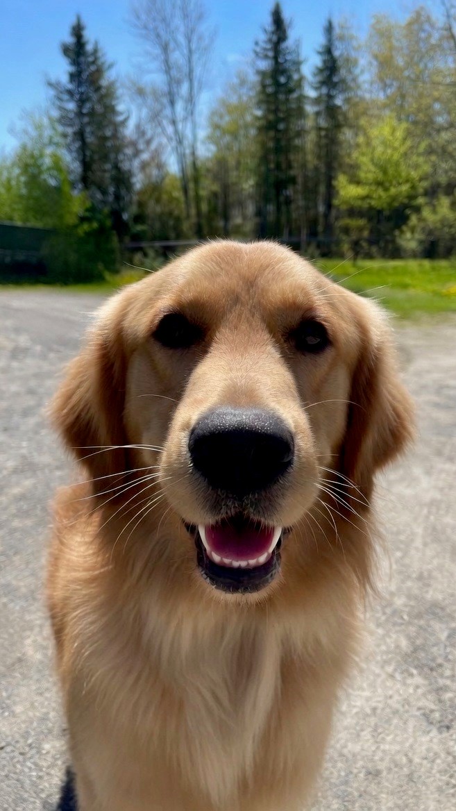 Cooper