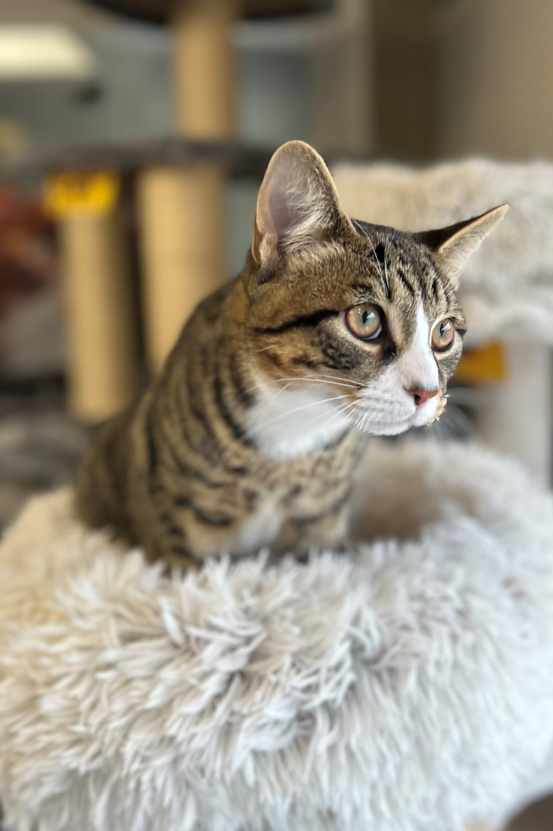 Billy