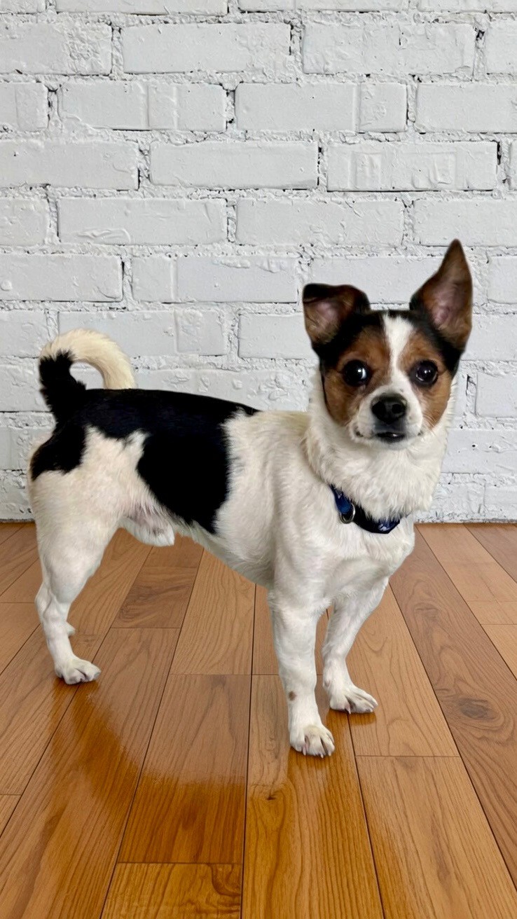Milo