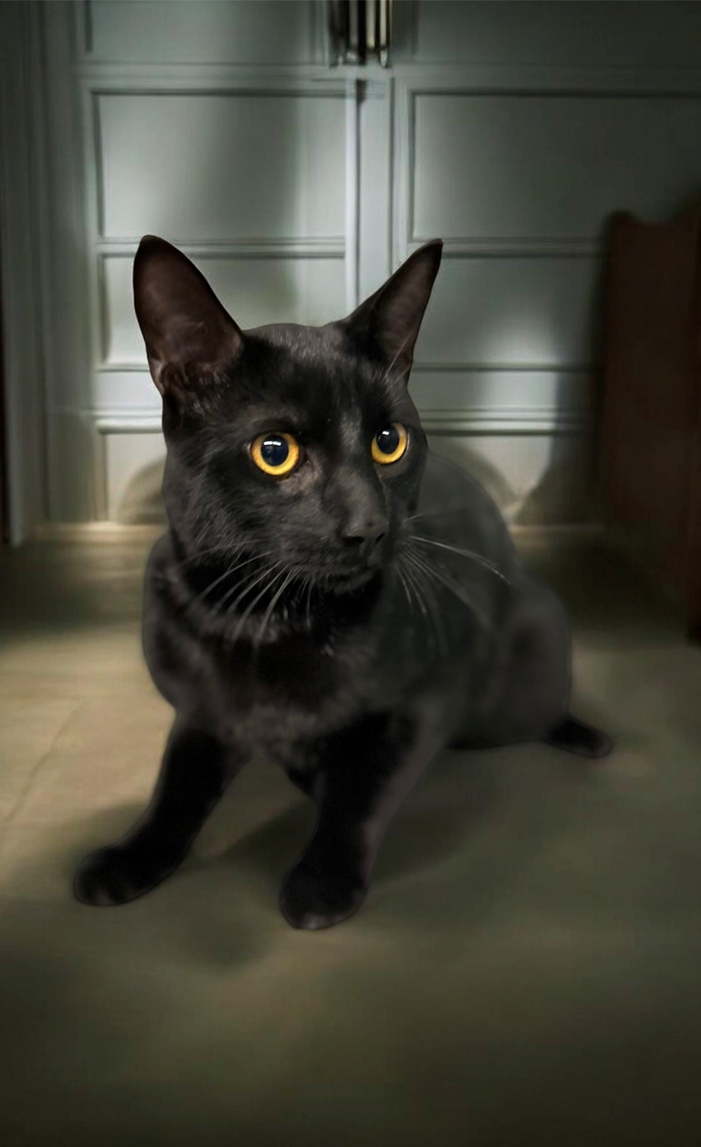 Kuro