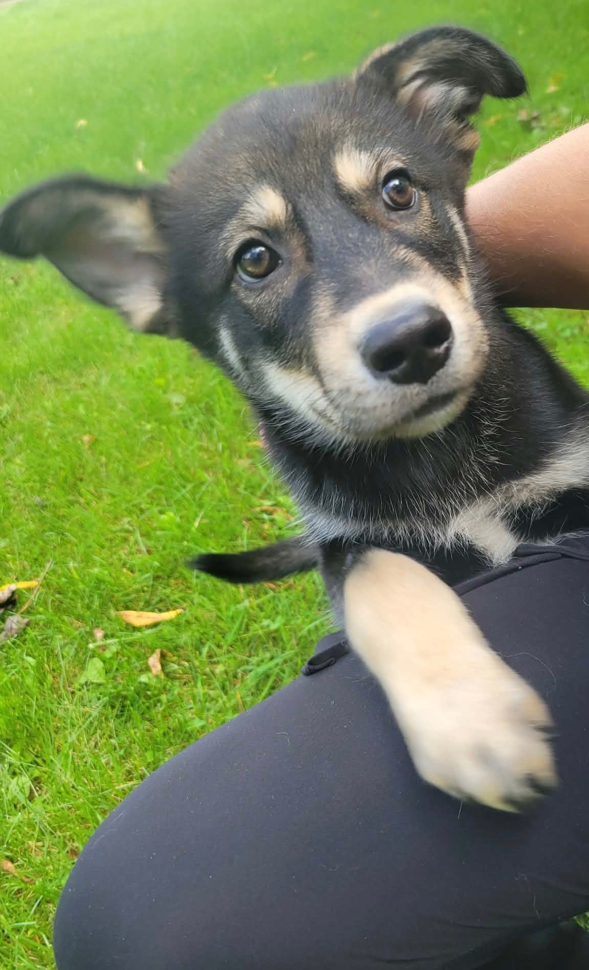 Riya