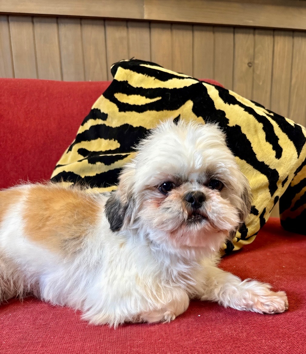 Lili
