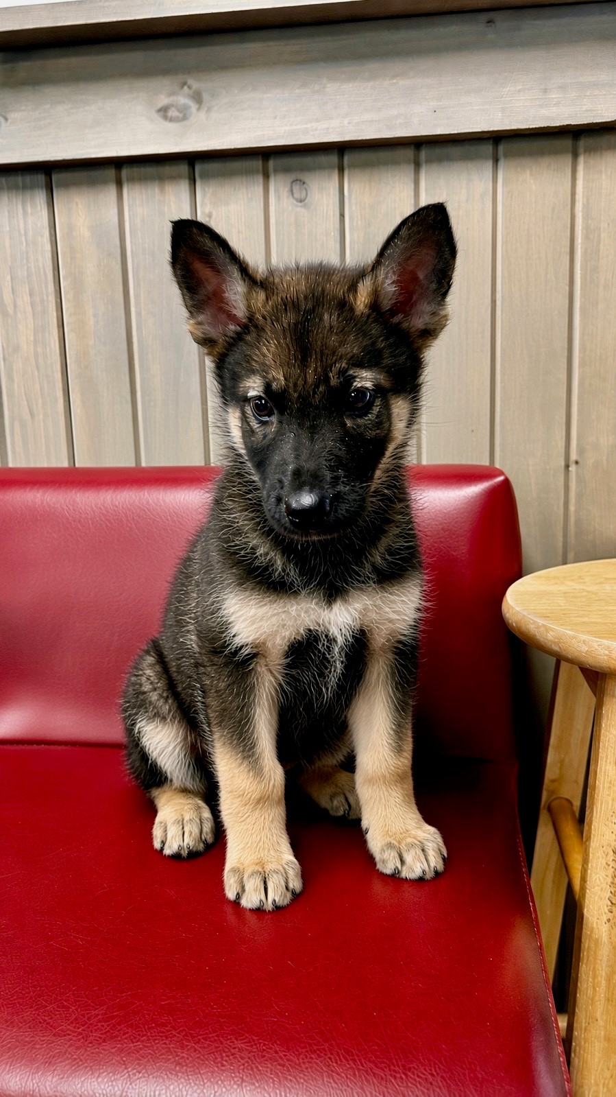 Ayko
