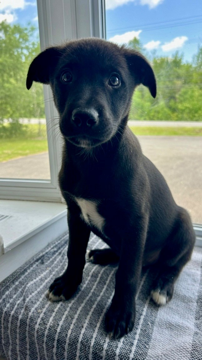 Cruz