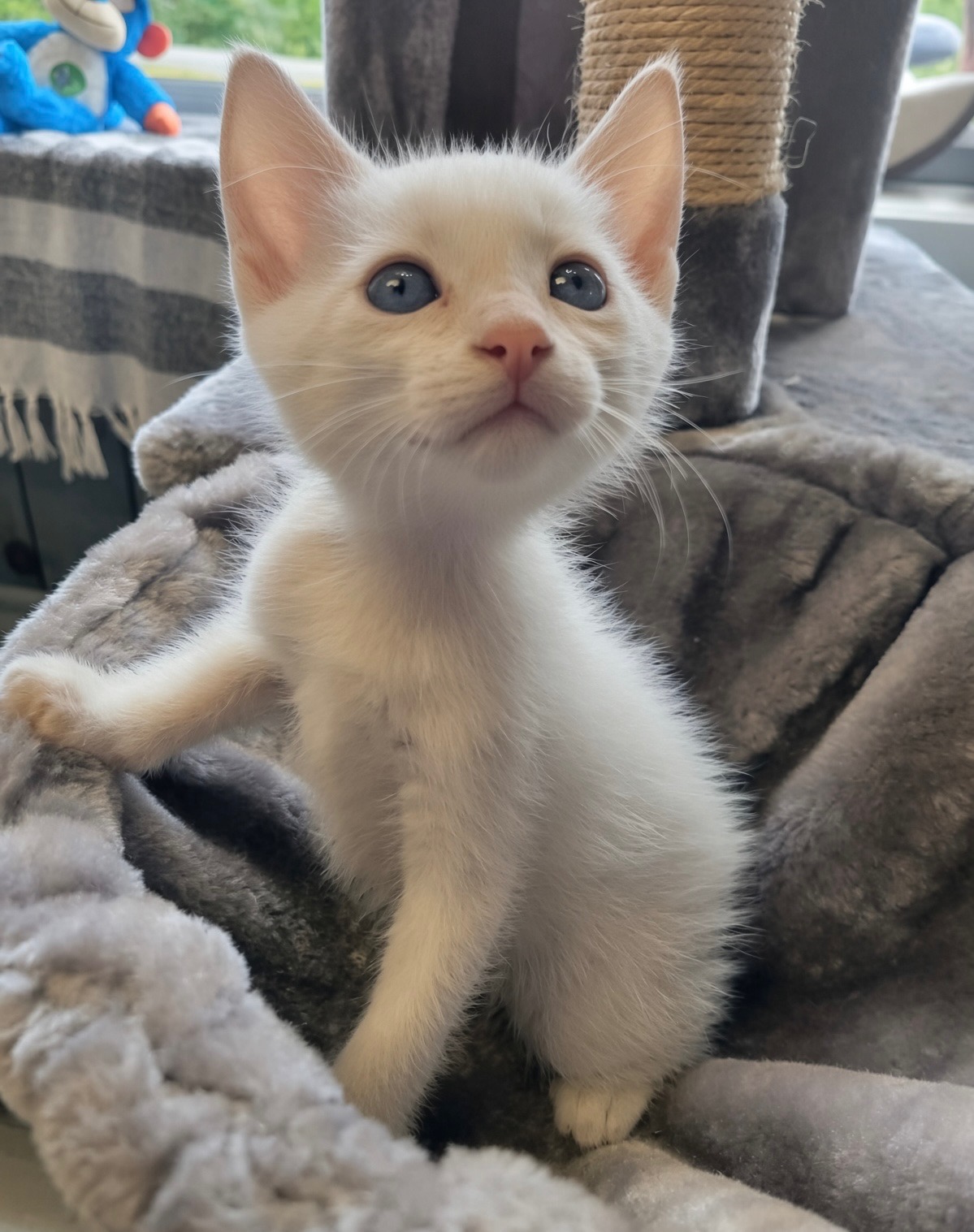 Casper