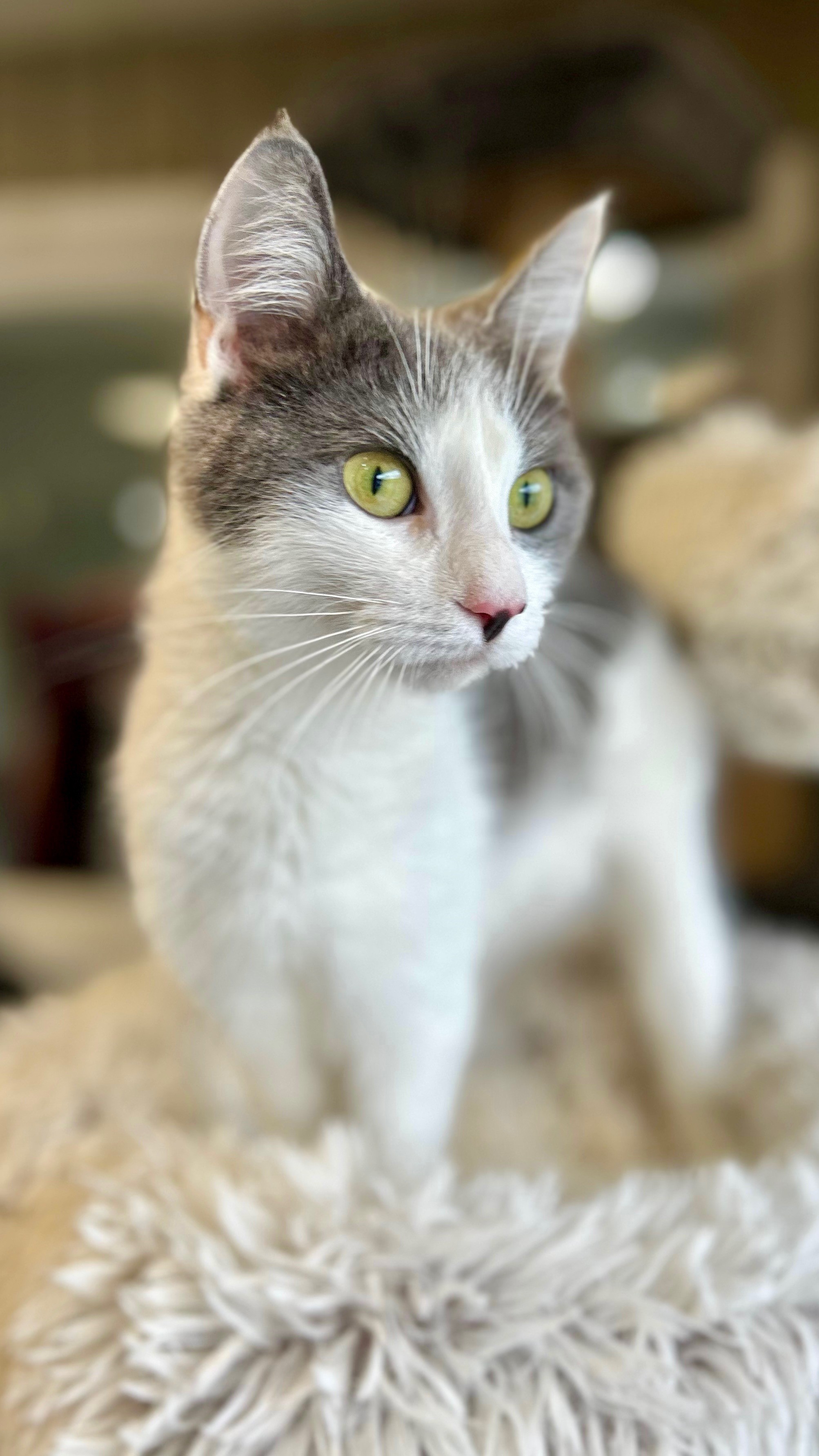 Hermione