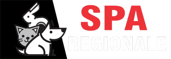 Logo Spa Regionale